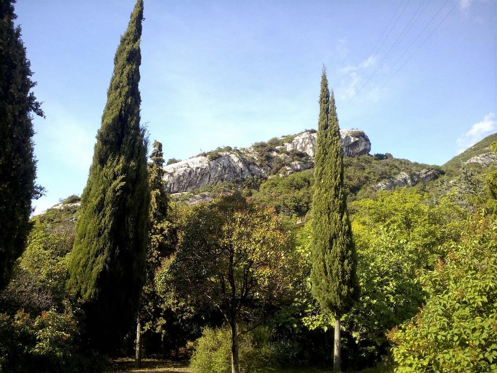 Garden Belvedere *
