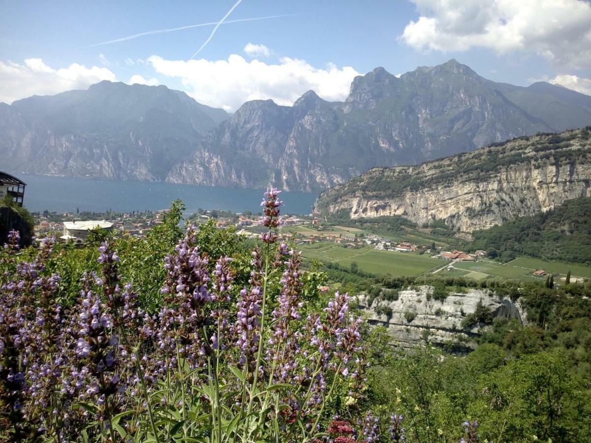 Garden Belvedere *